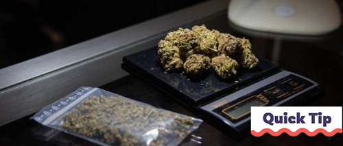 Wiet Opbrengst Verhogen met Geavanceerde Kweektechnieken