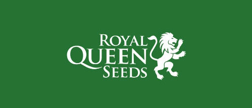 Wietzaden van Royal Queen seeds