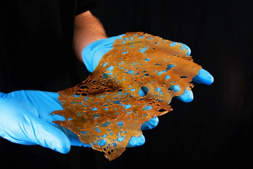 Cursus Dabs Maken Deel 2: BHO Hasjolie Maken (Shatter / Crumble)