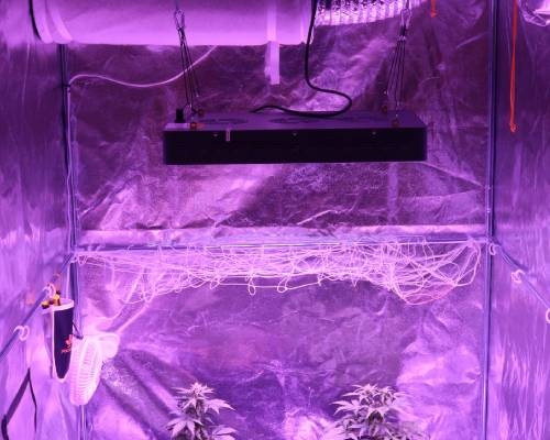 Benodigdheden Wiet Kweken Boodschappenlijstje