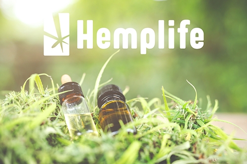 CBD Olie van Hemplife - Nederlandse Kwaliteit!