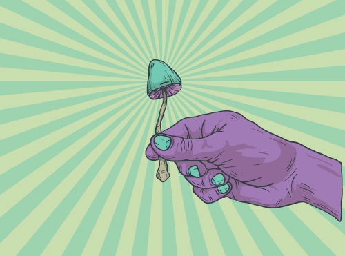 Van Leary tot Hofmann: Sleutelfiguren in de Psychedelics