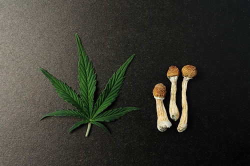 Trippen, High en Stoned zijn - Wat is het Verschil?