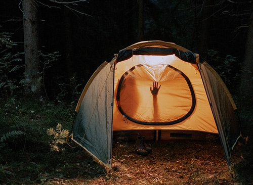 Spaanse Vlieg, Natuurlijke Erectiepillen en andere Afrodisiaca