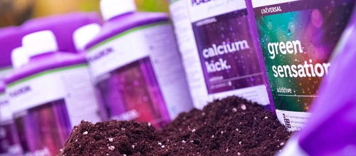 Wiet Kweken met Kweekschema van Plagron Voeding