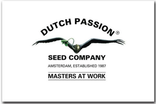 Dutch Passion zaden