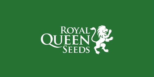 Wietzaden van Royal Queen seeds