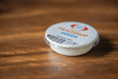 Wietzaadjes ontkiemen met watjes en bakje van Dutch-Headshop