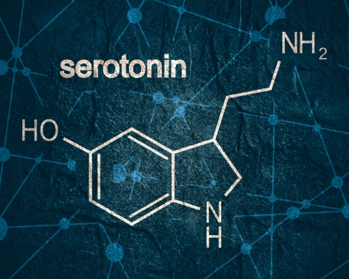 Serotonine Tekort? L-Tryptofaan of 5-HTP tegen een Drugs Dip