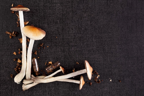 Zo moet je Truffels Drogen