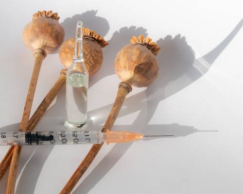 Wat is Opium en Wat Zijn Opiaten? Van Drugs tot Medicijnen