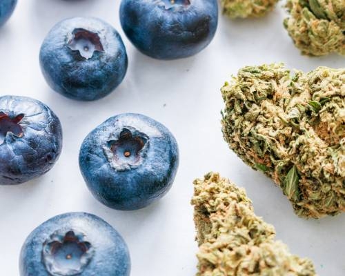 De Smaak van Je Wiet Verbeteren in 8 Stappen